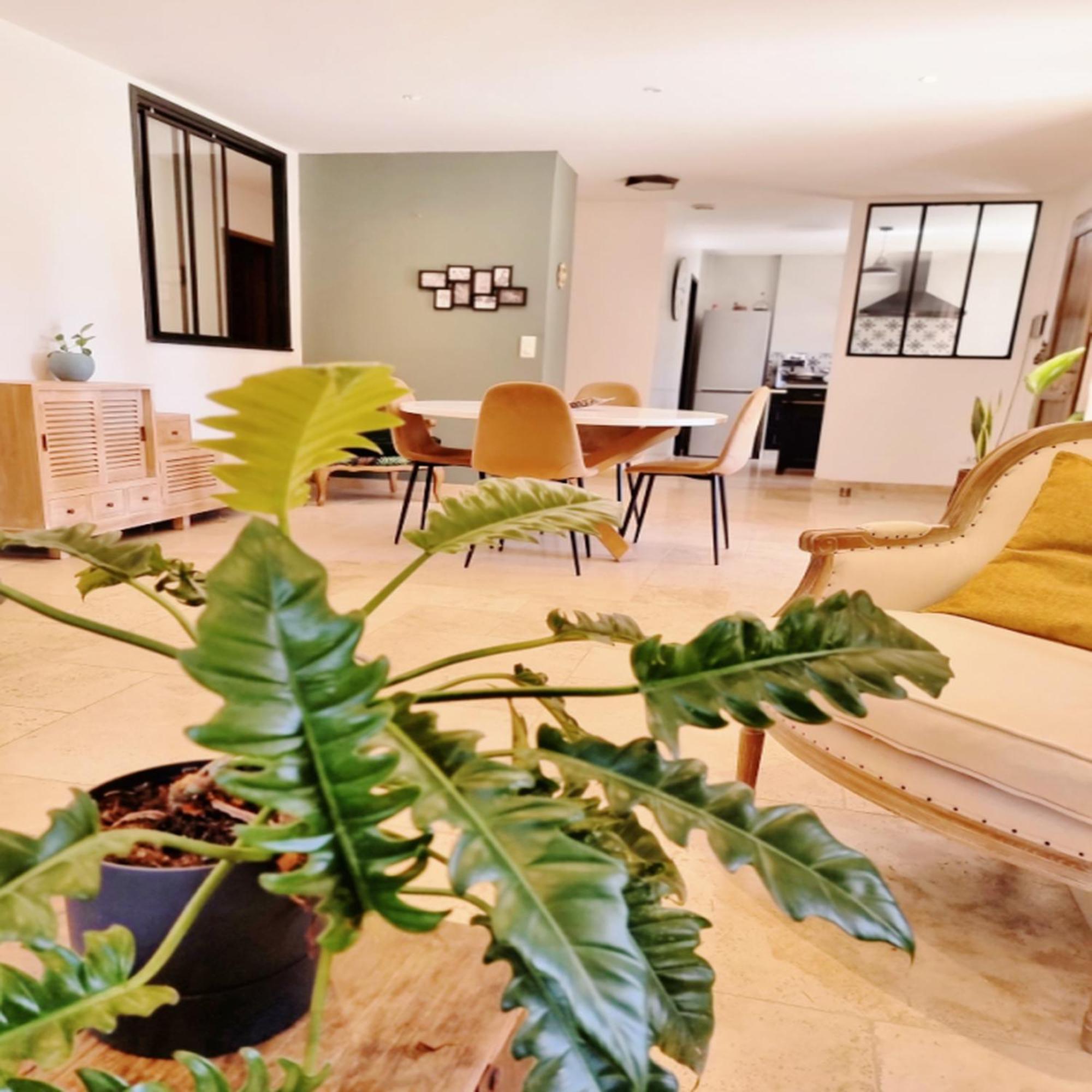 Villa Oasis En Provence Luberon Pierrevert Экстерьер фото