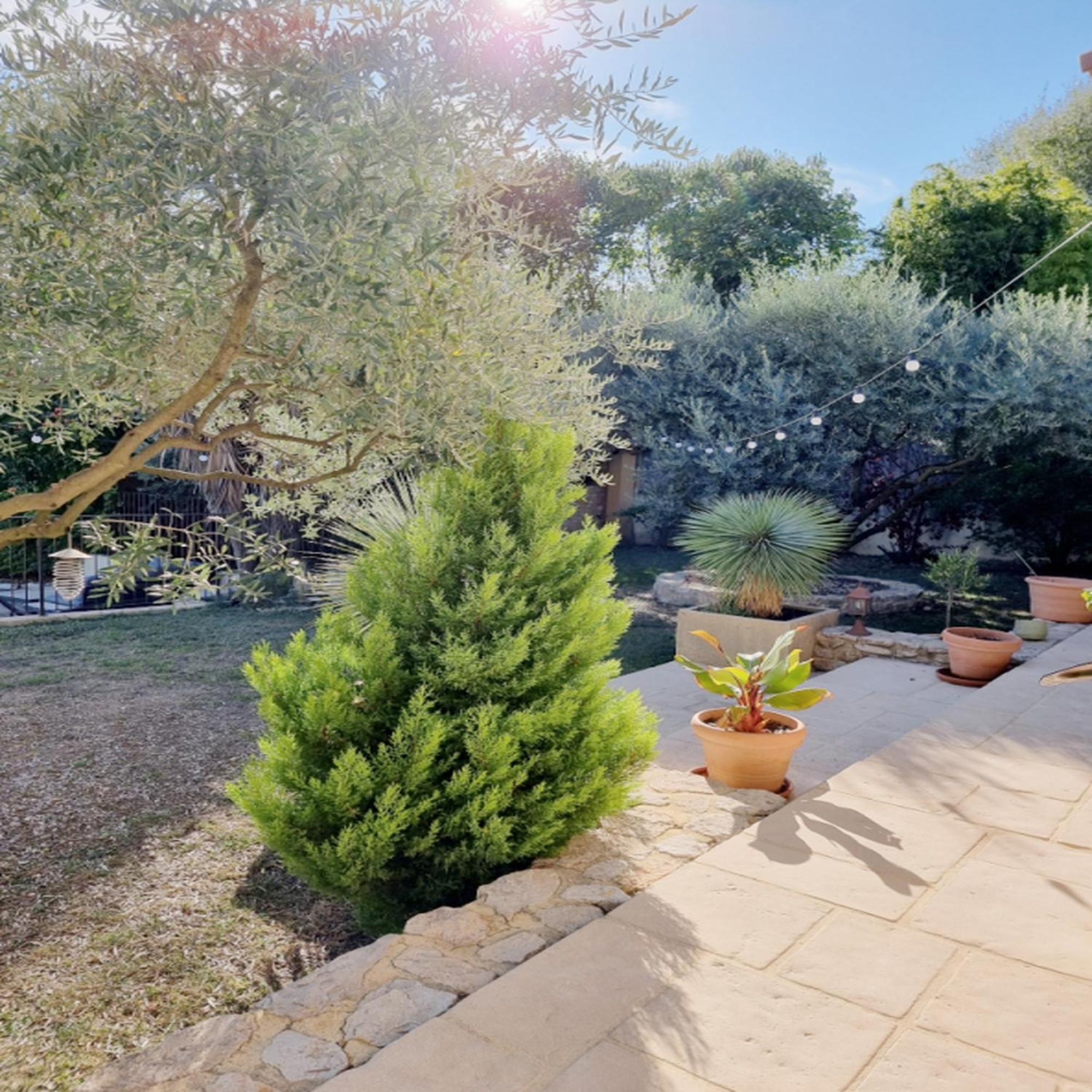 Villa Oasis En Provence Luberon Pierrevert Экстерьер фото
